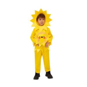 YELLOW SUN-FLOWER