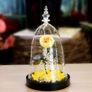 Beauty And The Beast Rose With Fallen Petals In A Glass Dome- A15