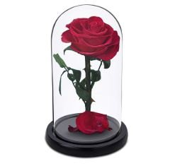FLOWER A30 21.0 CM * 21.0 CM * 33.0 CM