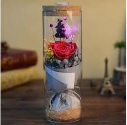 Red Rose in a Tall Glass - A72