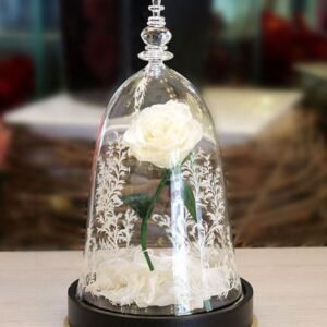 Preserved White Eternity rose in a glass dome- A8