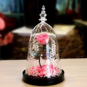 Pink Beauty and the beast rose in a Glass Dome- A10