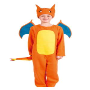 Pokemon Charizard Costume